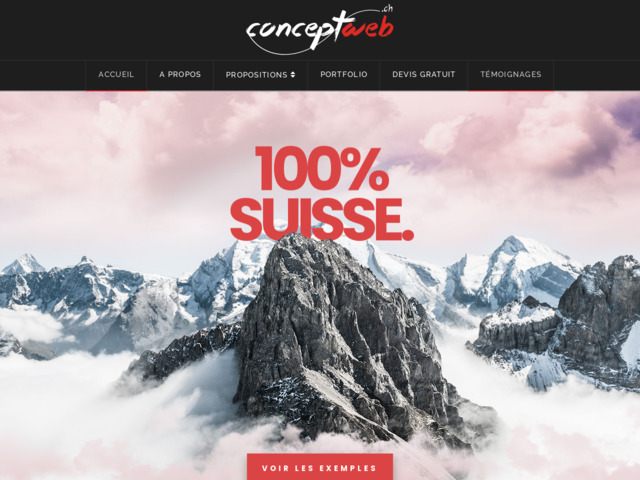 Conception de sites web à tarif compétitif
