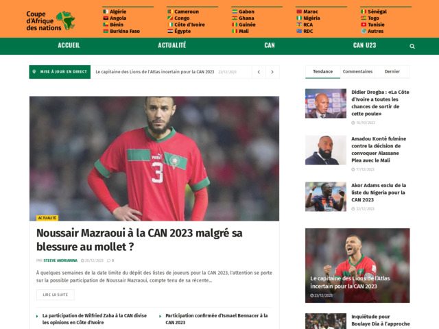 Les grandes equipes nationales d'Afrique
