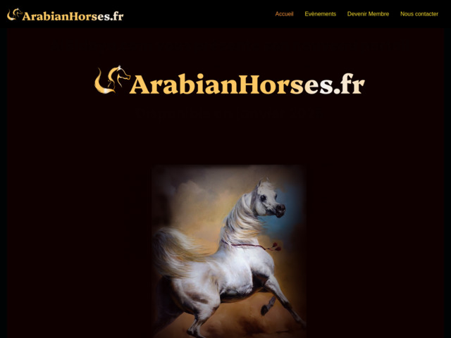 Tout pour le cheval arabe