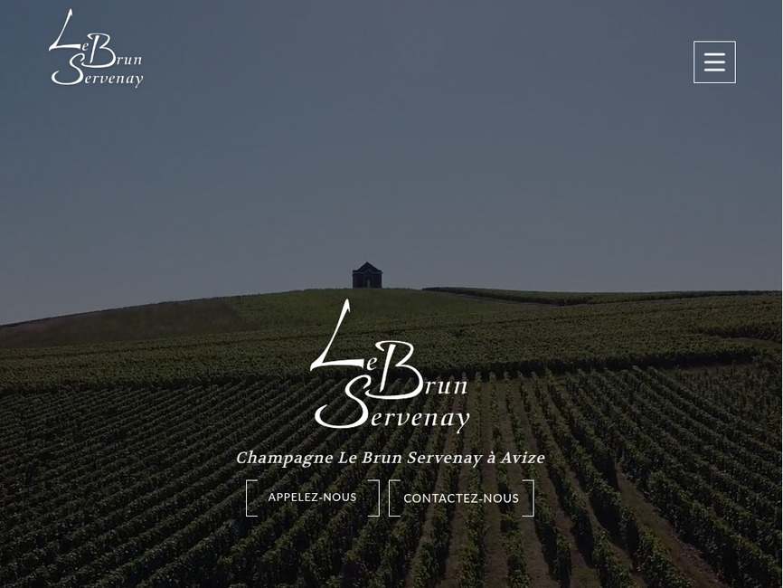Https://www.champagnelebrun.com/
