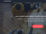 D.E. Consultants