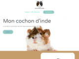 Guide du cochon d'Inde