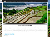 Voyage au Vietnam hors des sentiers battus
