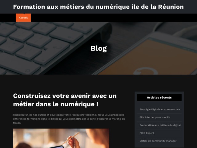 Formation dans le numrique  La Runion