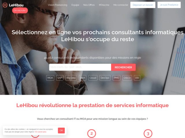 LeHibou - plateforme freelance informatique