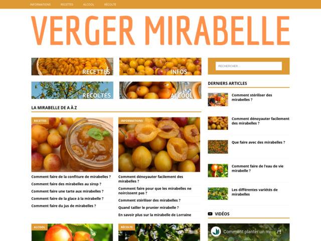 Verger mirabelle | Tout savoir sur le fruit star de Lorraine