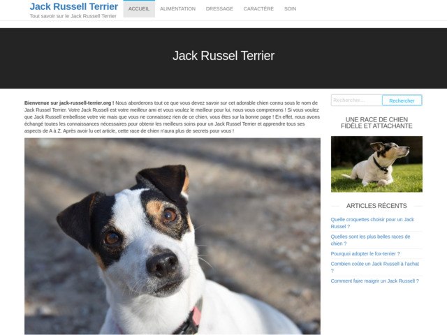 Jack russel terrier | tout savoir : prix chien chiot elevage