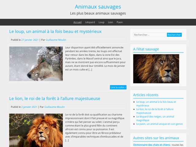 Animaux sauvages : photos vidéo dessin coloriage | loup elephant girafe