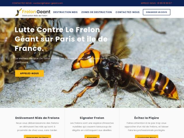 Destruction de nid de frelon géant