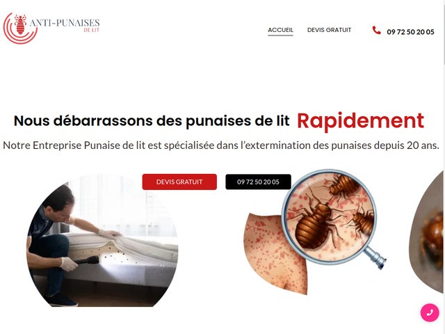 Entreprise anti punaises de lit