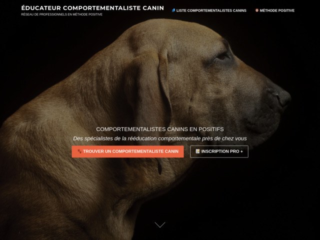 Comportementalistes canins en mthode positive