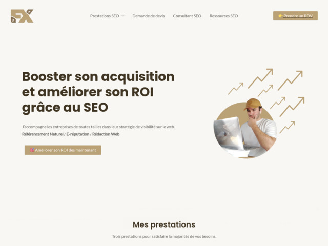 Consultant SEO - Franois-Xavier Crpin