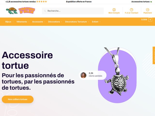 Accessoire tortue