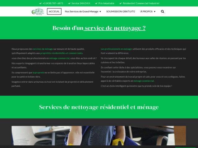 Professionnels en mnage commercial ?