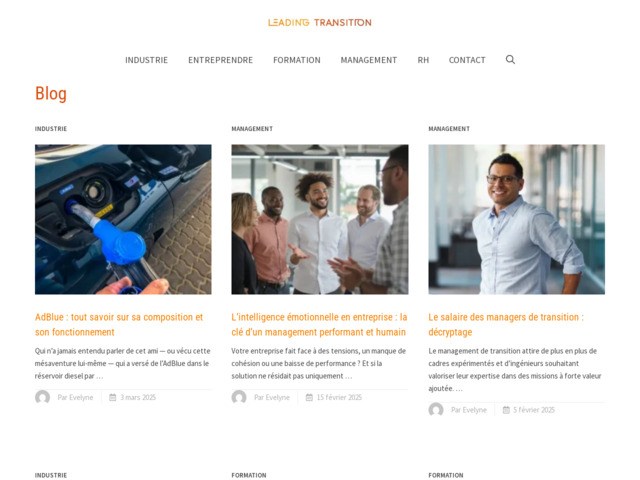 Leading Transition : L'expert du management de transition