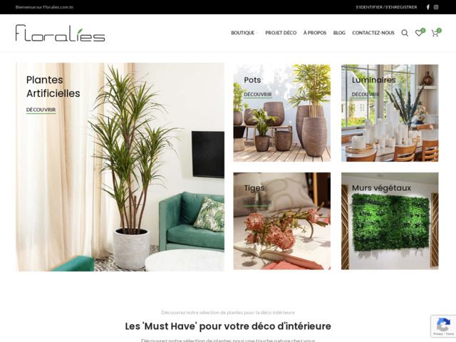 Pots, bougies et plantes d'intérieur en ligne