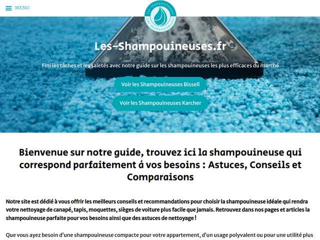 Les shampouineuses