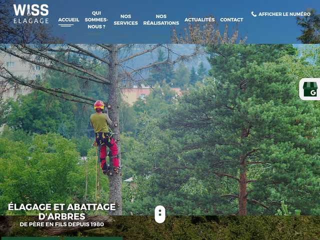 Performance et expertise : abattage d'arbres val-d'oise