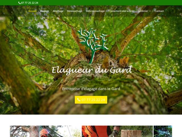 Elagueur dans le Gard