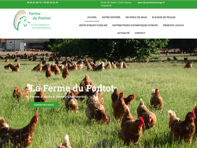 Ferme oeuf bio Gevrey-Chambertin