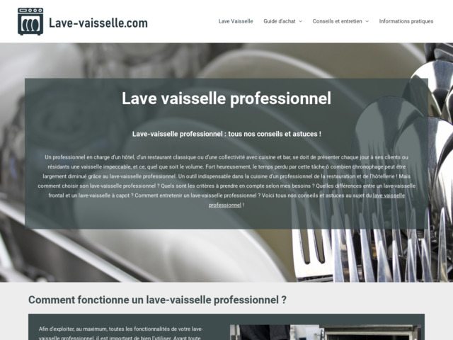 Lave-vaisselle professionnel