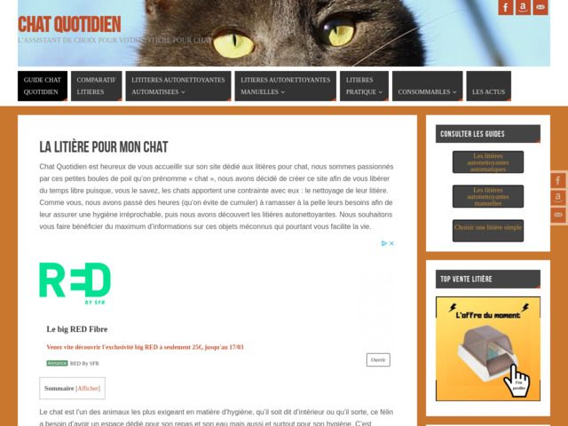Chat quotidien : choisir une litire automatique pour chat