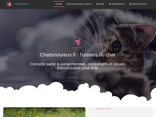 Chatsmoureux : magazine flin