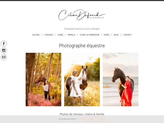Cline dufourd - photographe quin et canin