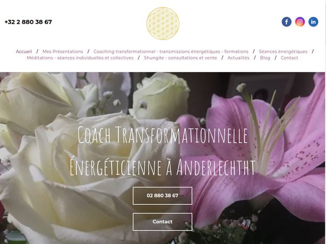 Sance nergtique  Bruxelles