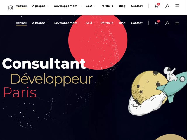 Maxime Guinard consultant SEO