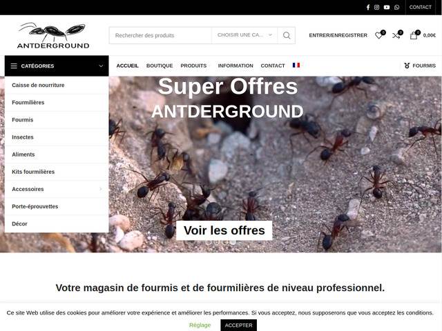 Fourmilières et fourmis (antderground )