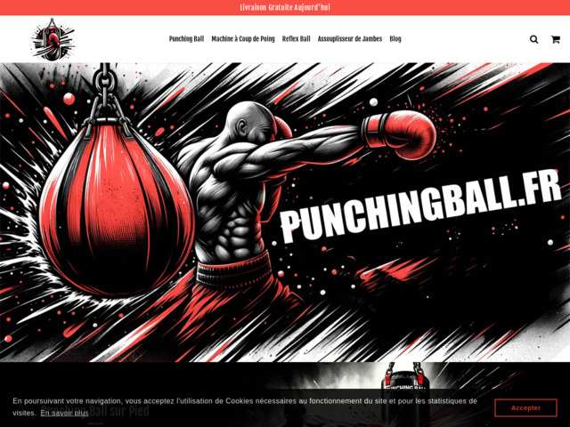 Boutique en ligne de punching ball