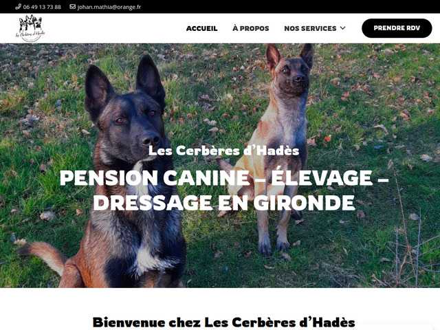 Les Cerbères d'Hadès, votre pension canine de référence en Gironde !