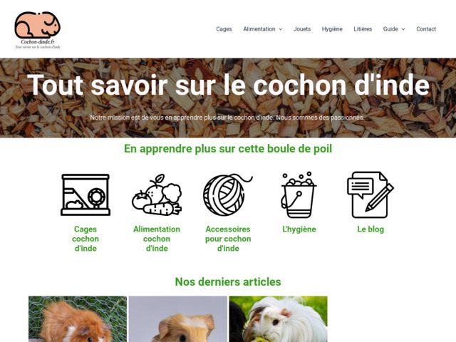 L'expert du cochon d'Inde