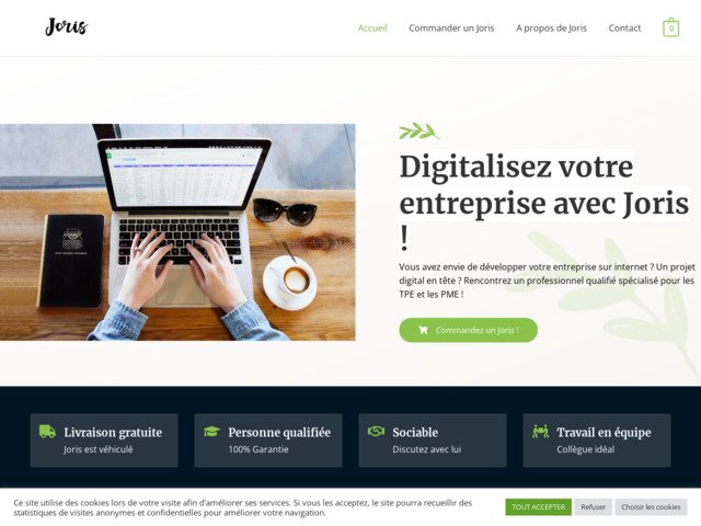 Agence webmarketing à st etienne spécialisé tpe etpme