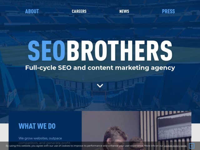 We grow websites, outpace competitors, and generate profit