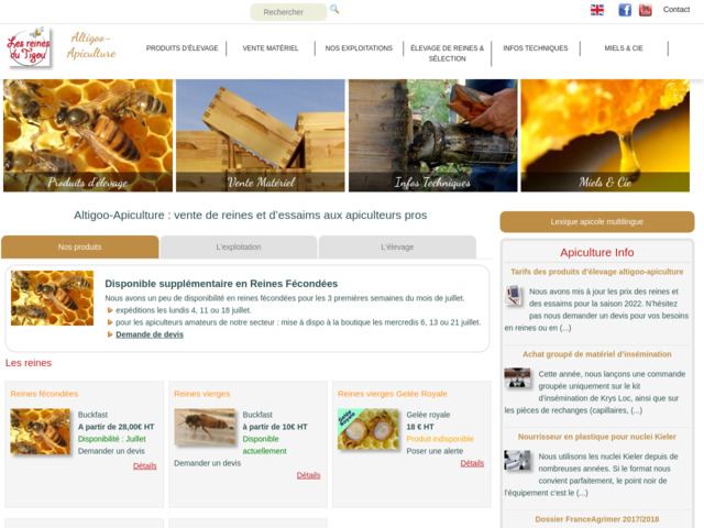Altigoo - Reines et essaims d'abeilles