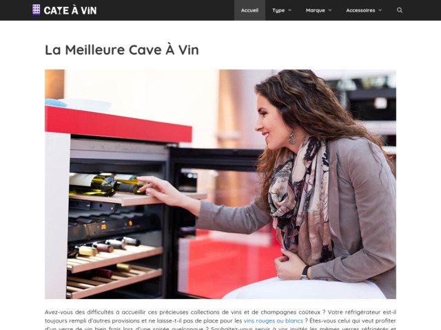 Les meilleurs cave a vin