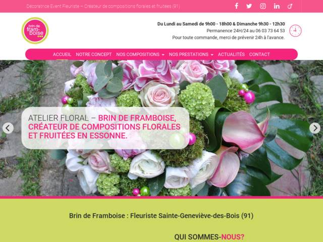 Brin de framboise