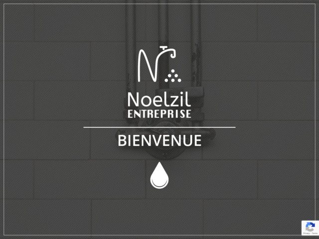 Noelzil Entreprise