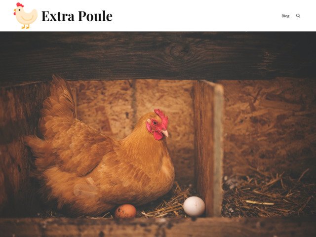 Extra poule