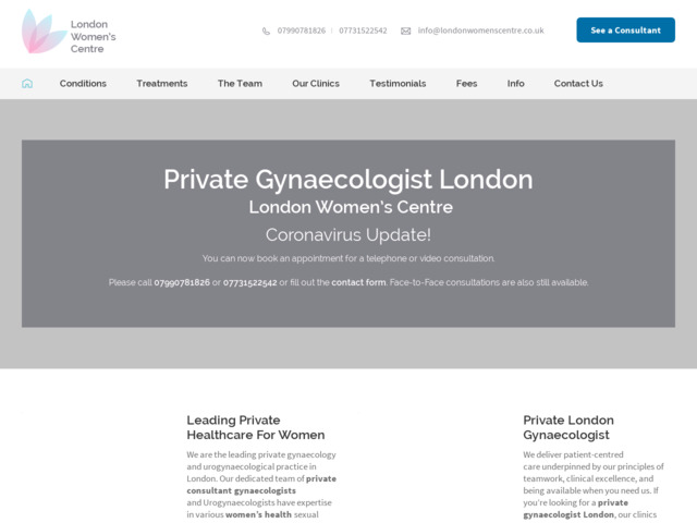 Private gynaecologist London