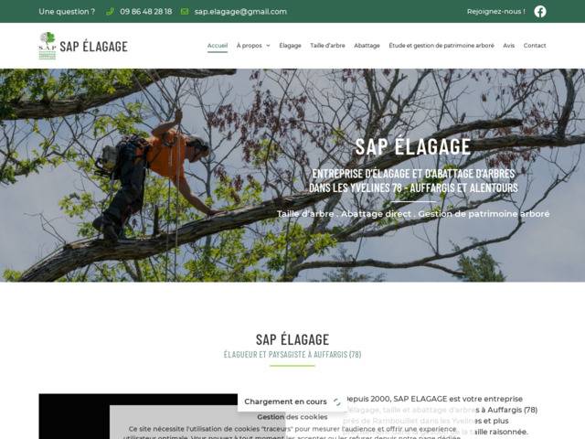 Sap Elagage : lagage, taille d'arbres, abattage d'arbres Yvelines (78)