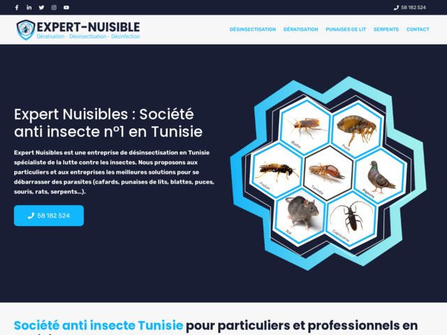 Expert nuisibles : socit anti insecte n1 en tunisie