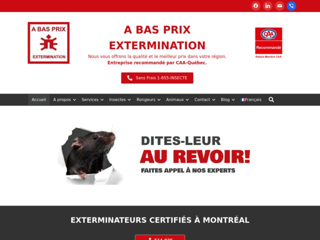 A Bas Prix Extermination : votre allié en gestion parasitaire