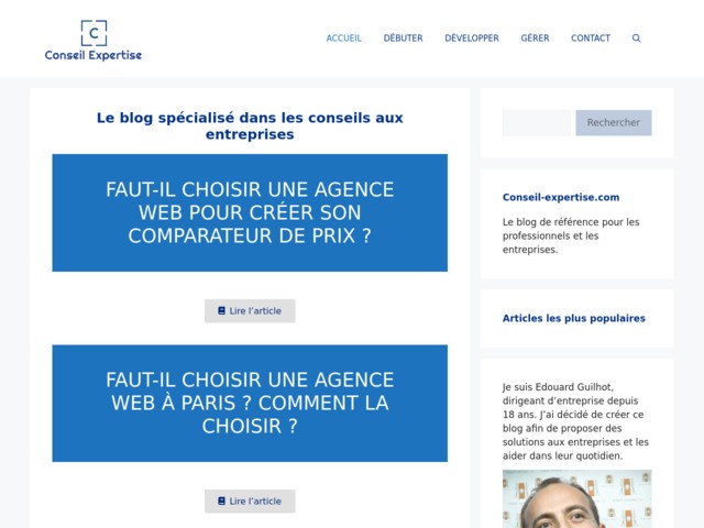 Conseil-expertise : blog pour les professionnels et les entreprises