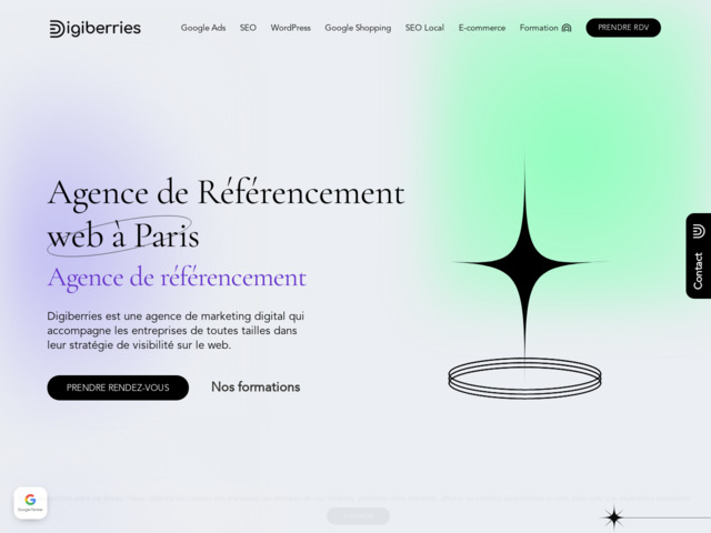 Digiberries Paris - Agence Google Ads - Agence SEO SEA