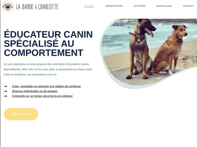 Educateur canin ollioules - la bande à charlotte