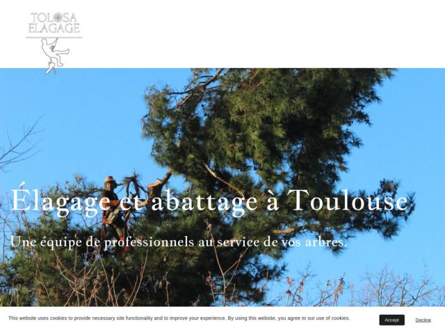 Tolosa elagage