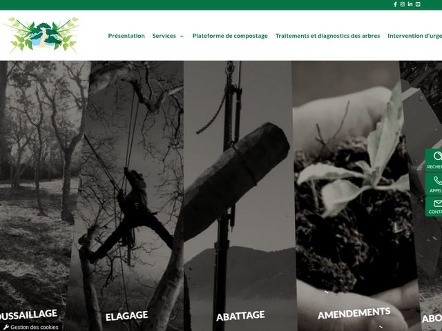 Taillage La Garde - Sud Elagages